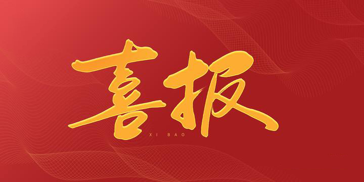 安徽科達潔能“高效清潔氣化技術產(chǎn)業(yè)創(chuàng)新團隊”榮獲“安徽省工程師團隊獎”